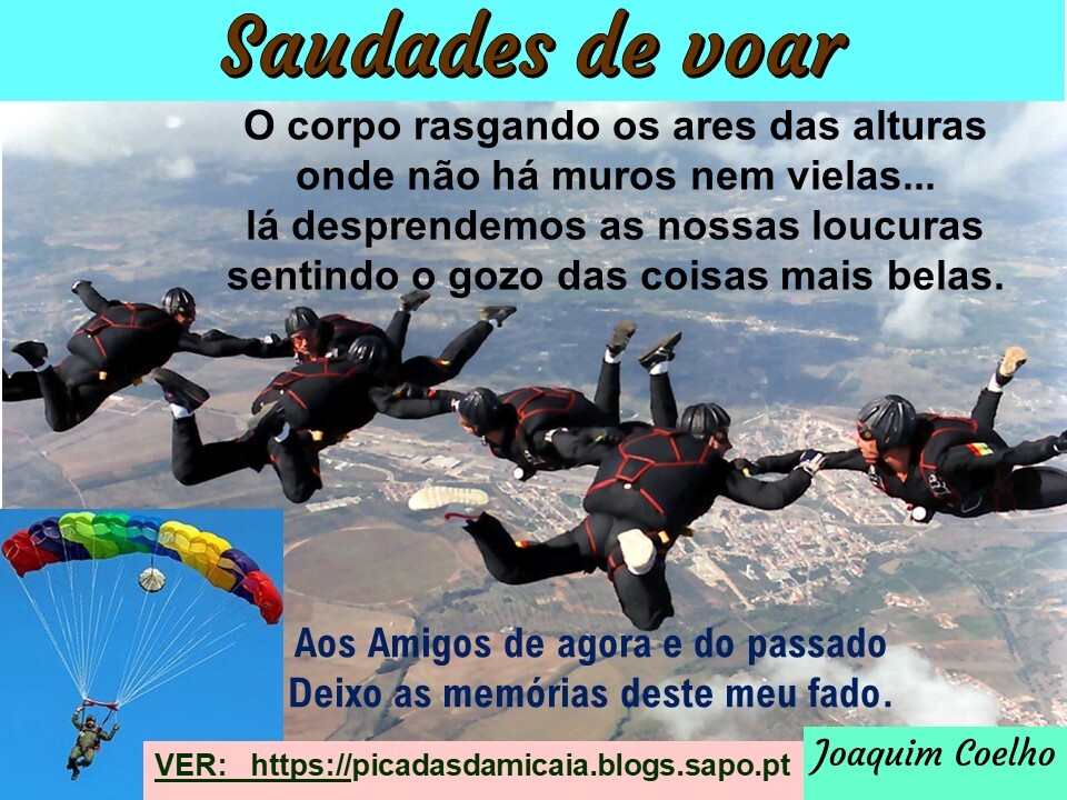 .....Coelho-saudades de voar1.jpg