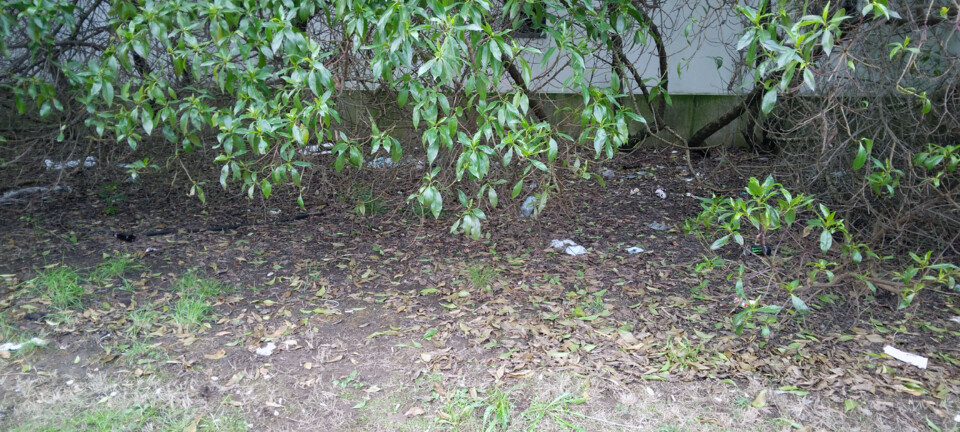 20241015_090629.jpg