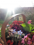 floresnoprato-min.jpg.png