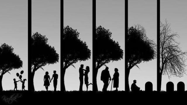 ciclo.jpg