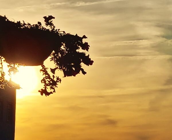 1000019251 - Cópia.jpg