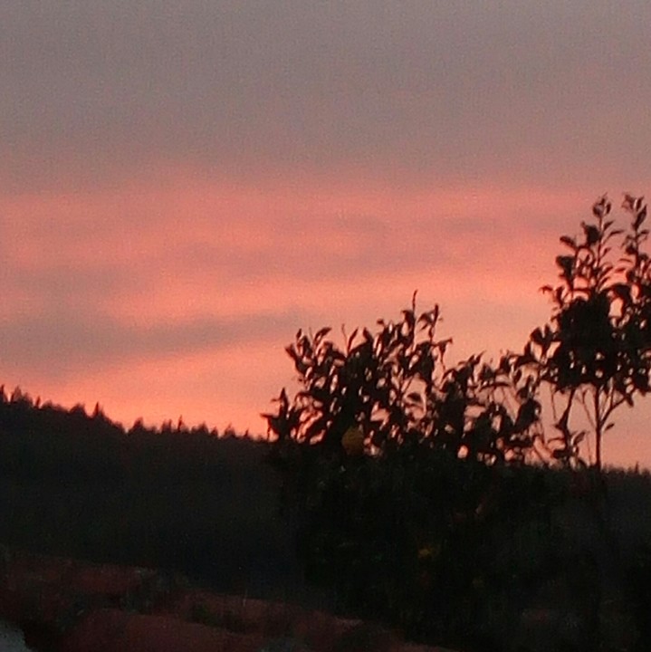 IMG_20210228_095054.jpg
