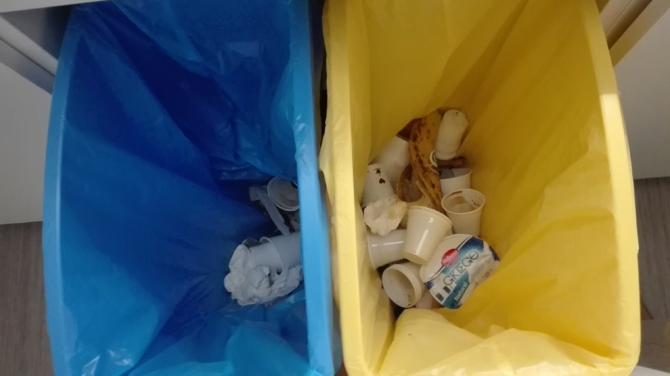 reciclagem.jpg