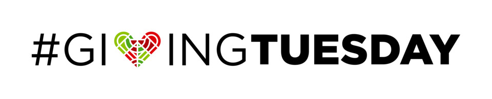 Logotipo_GivingTuesday_B_Cores_fundo branco.jpg