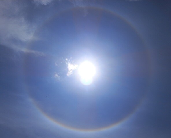 20230529_135442 - Cópia.jpg