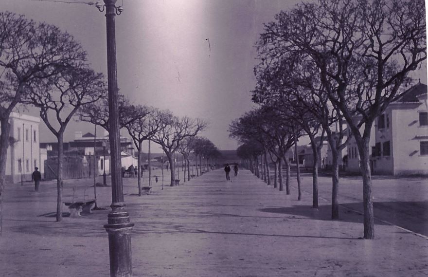 avenida aviadores gago coutinho e sacadura cabral.