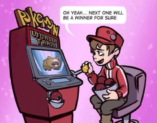 18809613_1902645163281336_3142023852700205056_n_b4