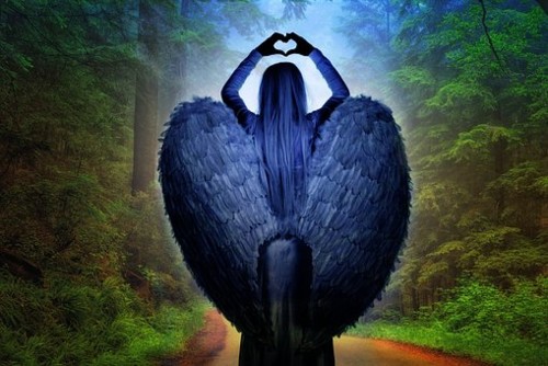 angel-1667772__340.jpg