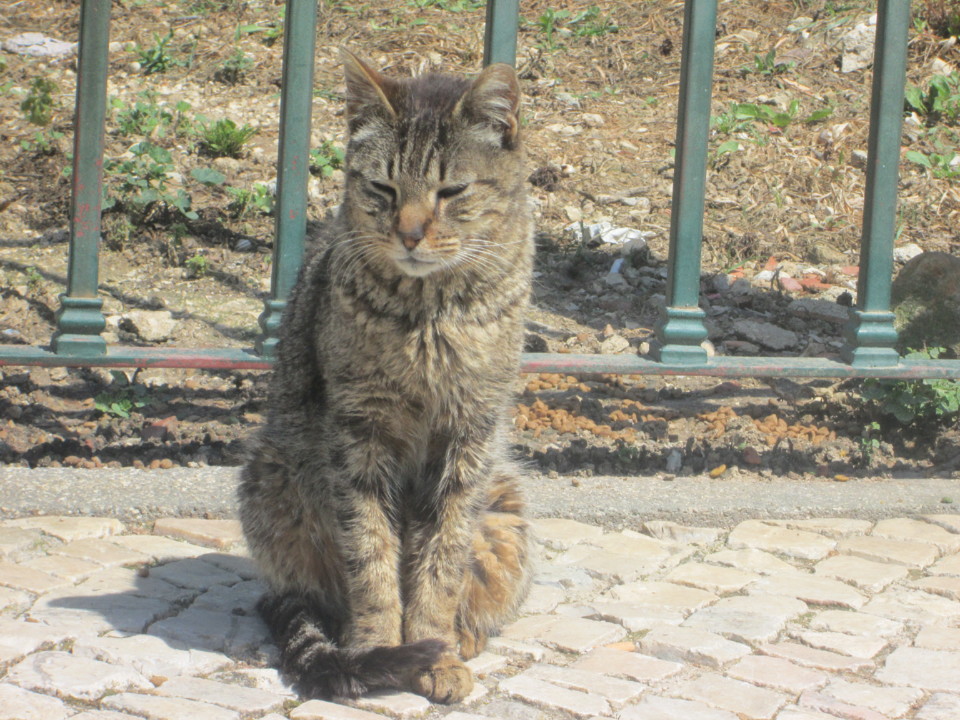 IMG_7391.JPG IMG_7391.JPG