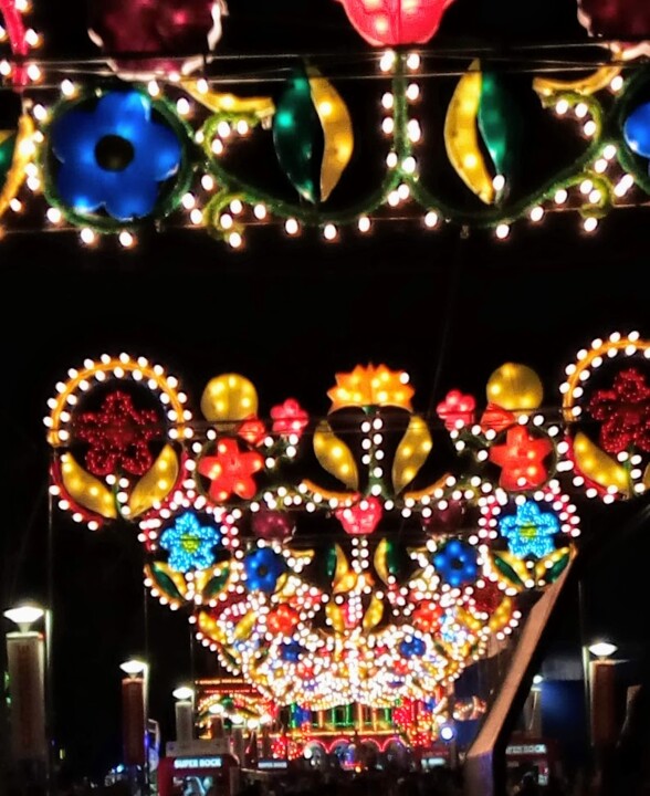 Não me canso disto_S. João.jpg