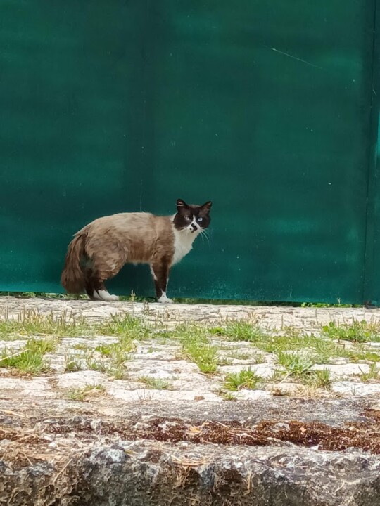 Não me canso disto_Canedo7.jpg