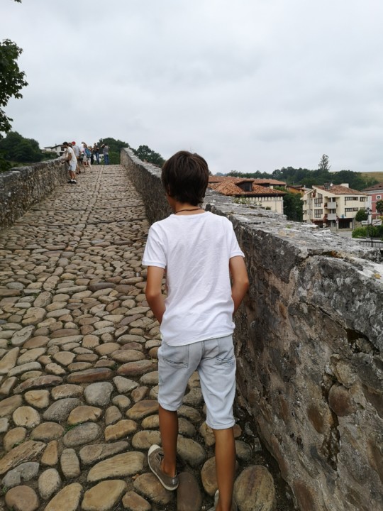 IMG_20190724_115320.jpg