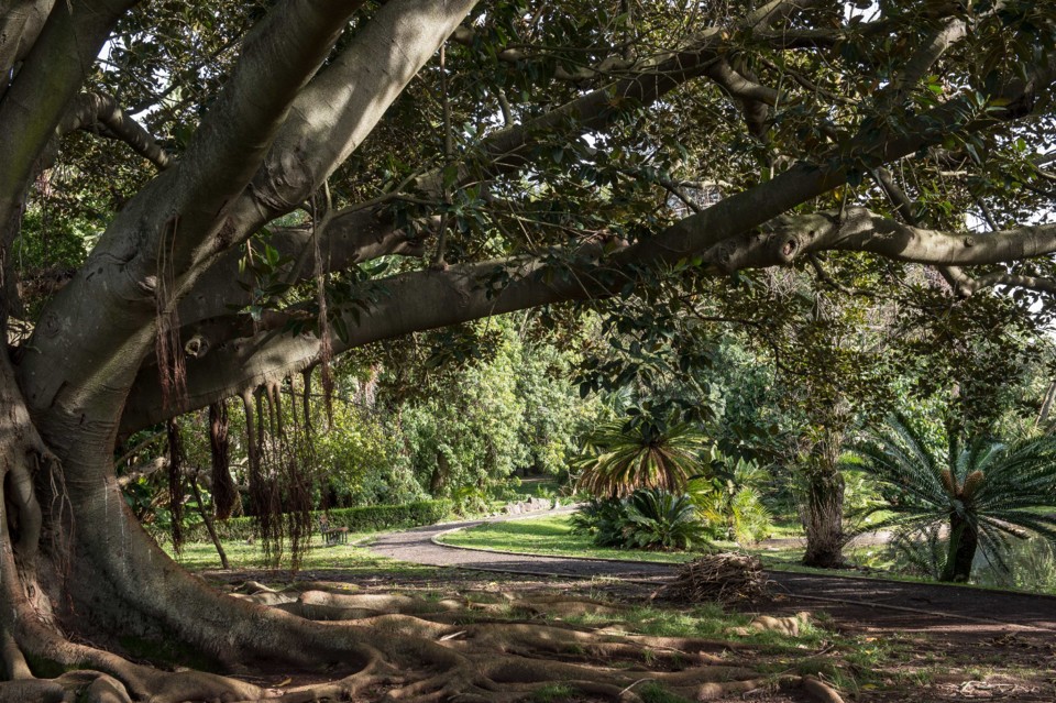 jardim-botanico- (14).jpg