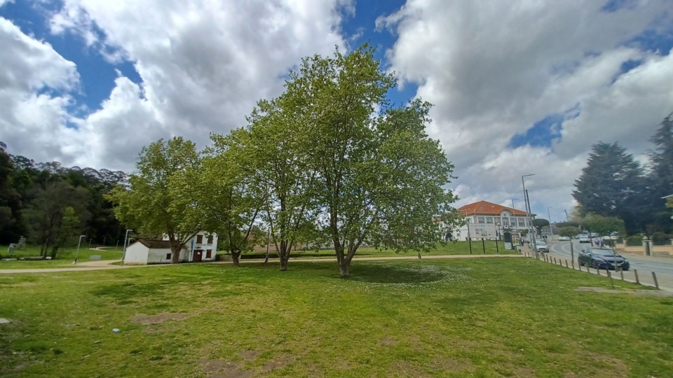 277855108_516588936608693_8200724498134999705_n.jp