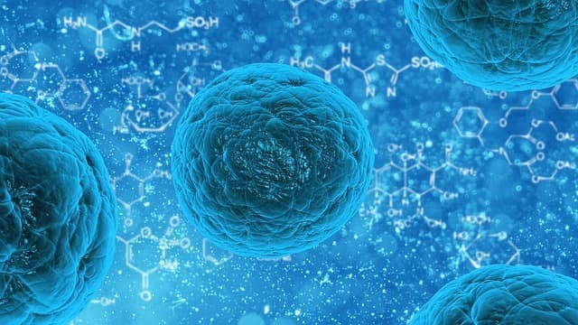 coronavirus-1.jpg coronavirus-1.jpg