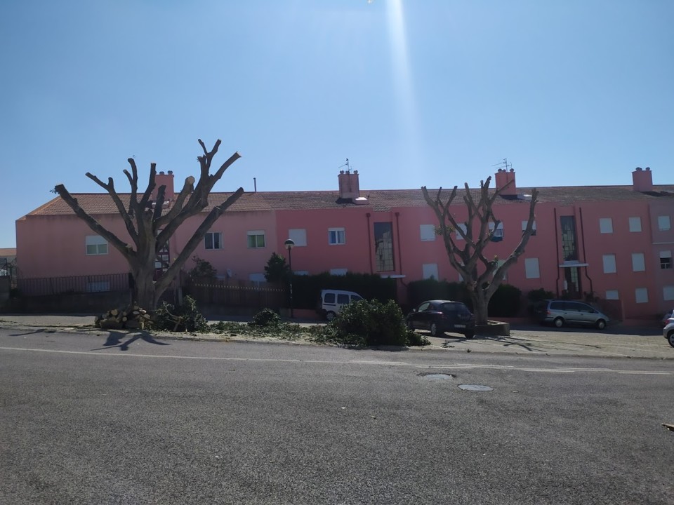 depois.jpg depois.jpg