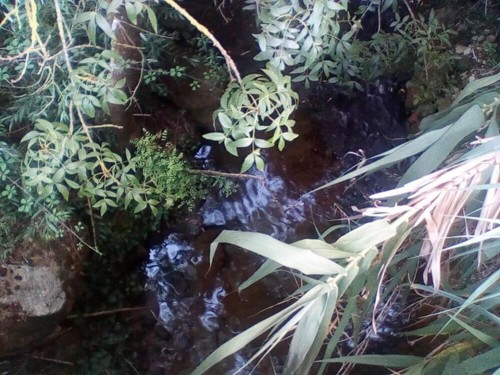 37643223_1738130969635534_1505325731612196864_n.jp