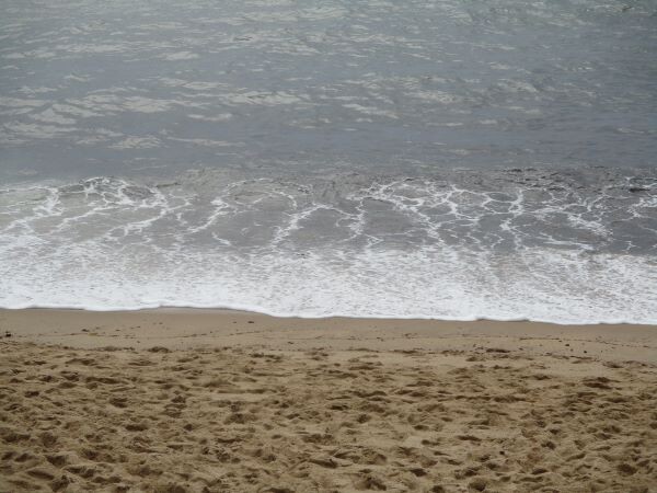 290567830_1055434441769610_2384078995559196366_n.j