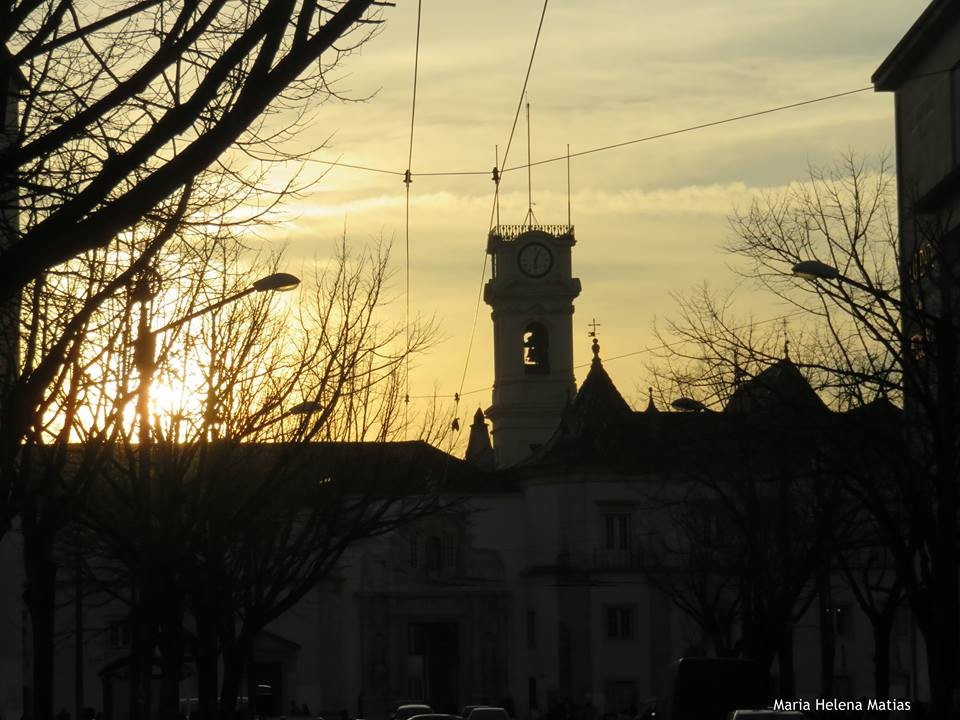 Torre da Universidade.jpg