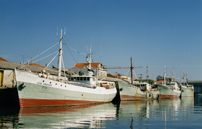 1990, graciosa, faial, praia dancora e senhora do 