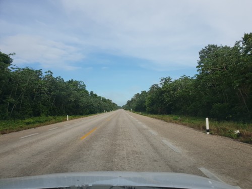 20181008_081847.jpg