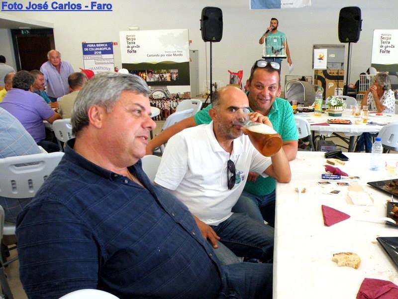 17.jpg 17.jpg