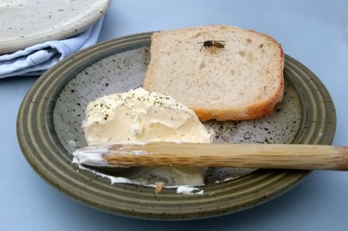 IMG_20180809_135637.jpg IMG_20180809_135637.jpg