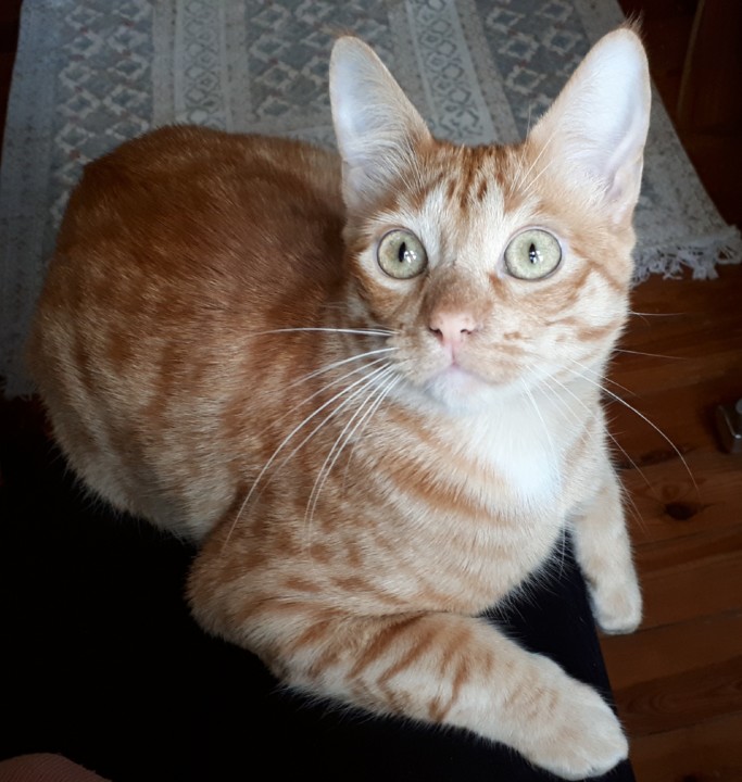 20190218_135047.jpg