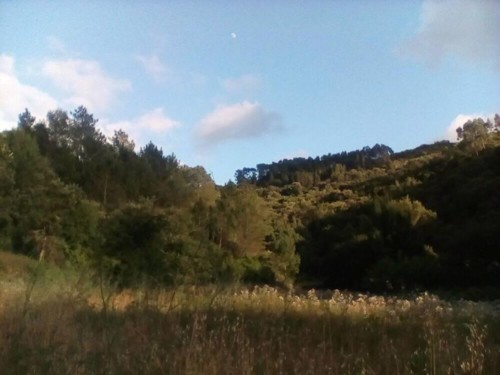 37673813_1738128662969098_5936382721403125760_n.jp