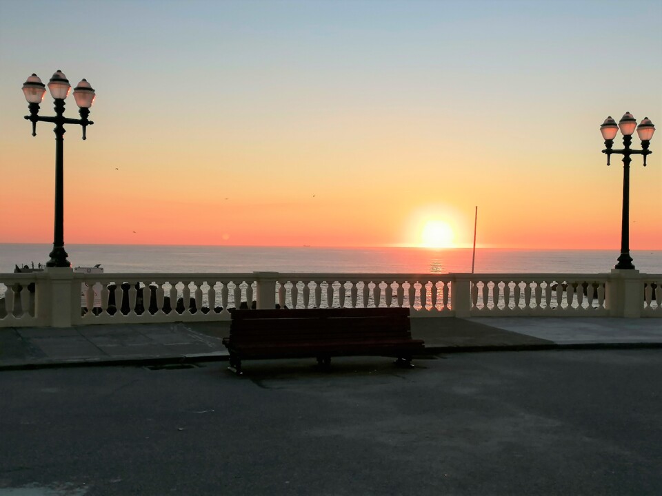 IMG_20220131_174352 (2).jpg