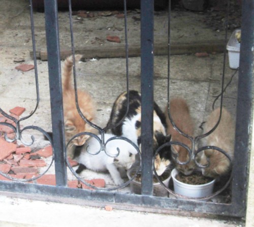 IMG_59392.JPG IMG_59392.JPG