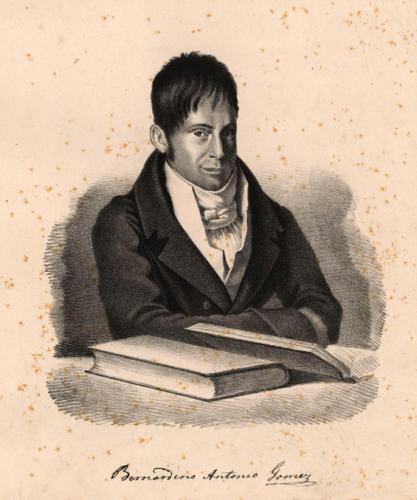 Bernardino_António_Gomes_médico_da_Real_Câmara.