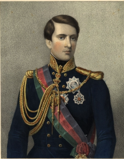 d pedro V cor.PNG