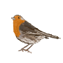 passarito blog4.png