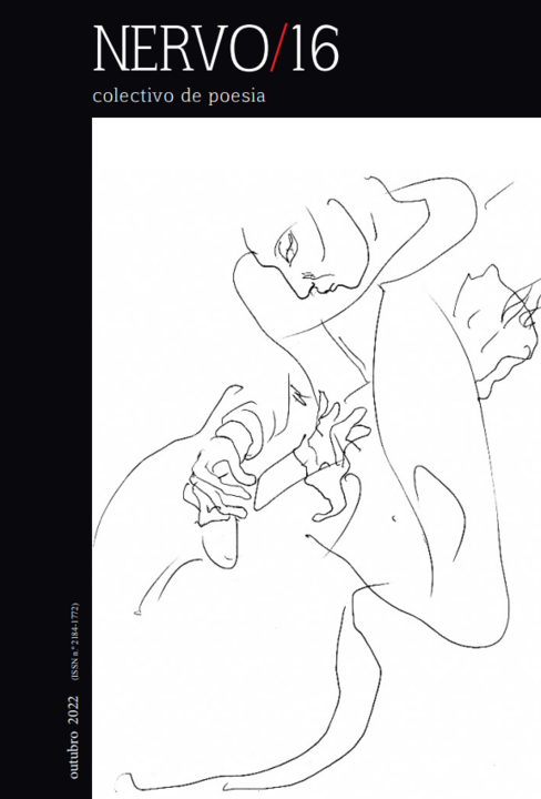 Capa Nervo 16.png