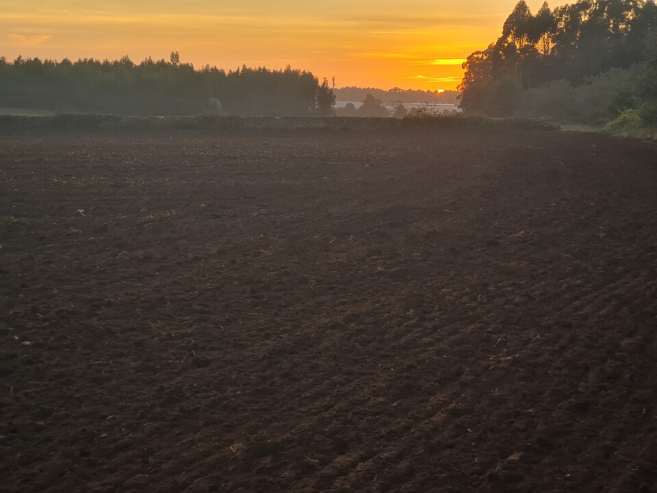 20221104_172543.jpg