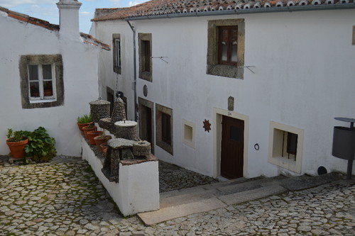 DSC_0505.JPG