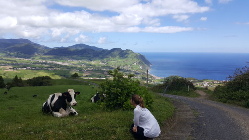 Vaca_eu_amor_gratidao.jpg Vaca_eu_amor_gratidao.jpg
