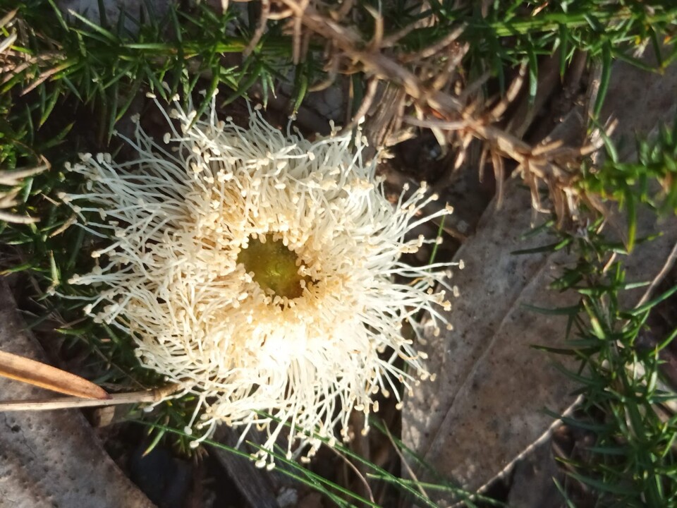 Não me canso disto inverno3.jpg