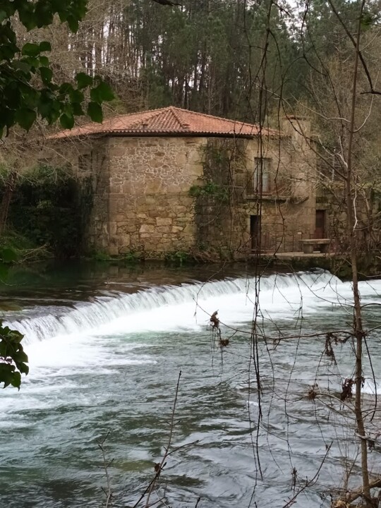 Não me canso disto caminhada5.jpg