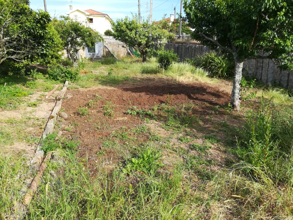 vista panoramica0.jpg