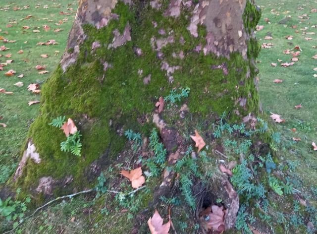 259420742_473097690798663_8931376709271749721_n.jp