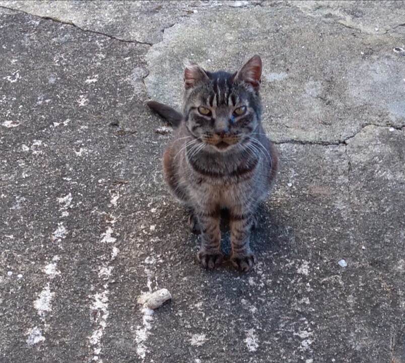 328925222_1351846748932302_3581785485992389414_n.j