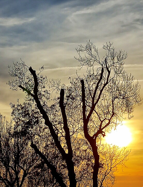 1000019253 - Cópia.jpg