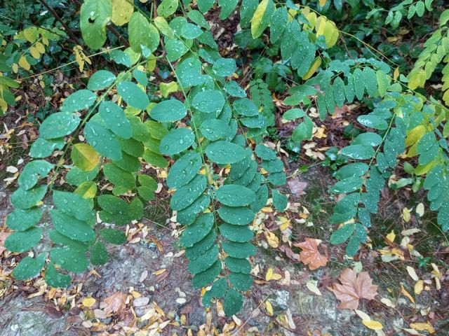 259683367_2117775128398928_1194231202289409407_n.j