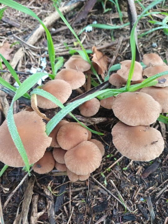 Não me canso disto 7.jpg