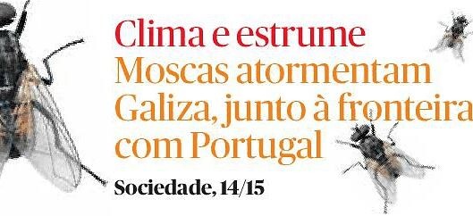 «Clima e estrume…», in Público, 19/V/24