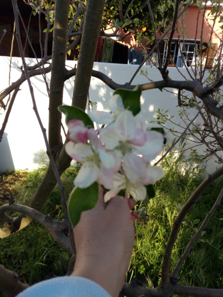 IMG_20180418_191136.jpg