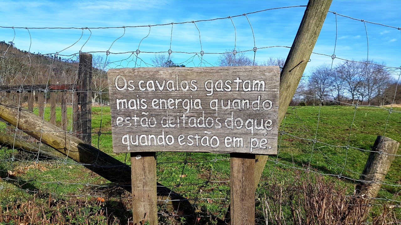 20180218_101653.jpg