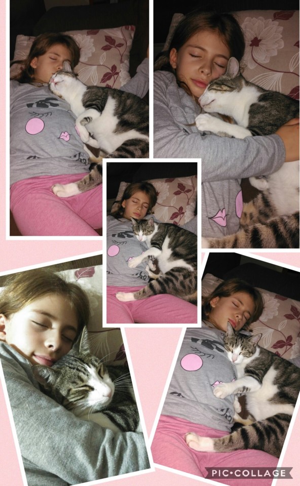 Collage 2018-10-21 10_25_09.jpg